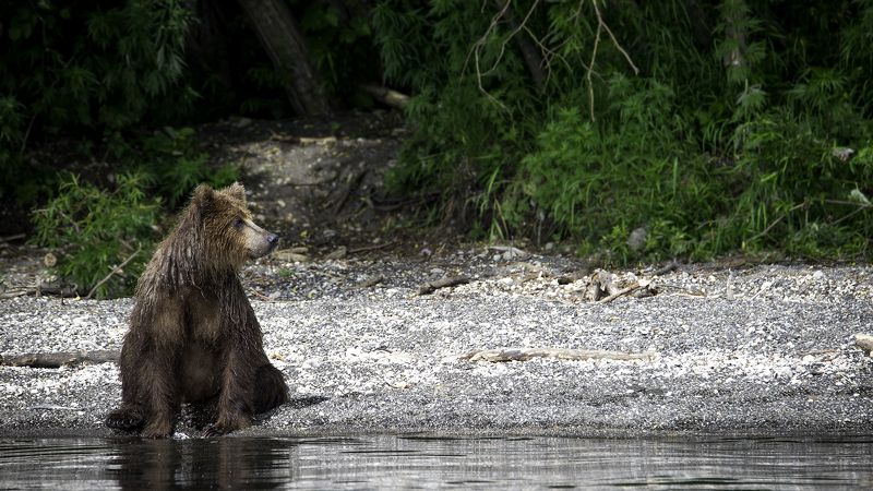 Позирует фото превью