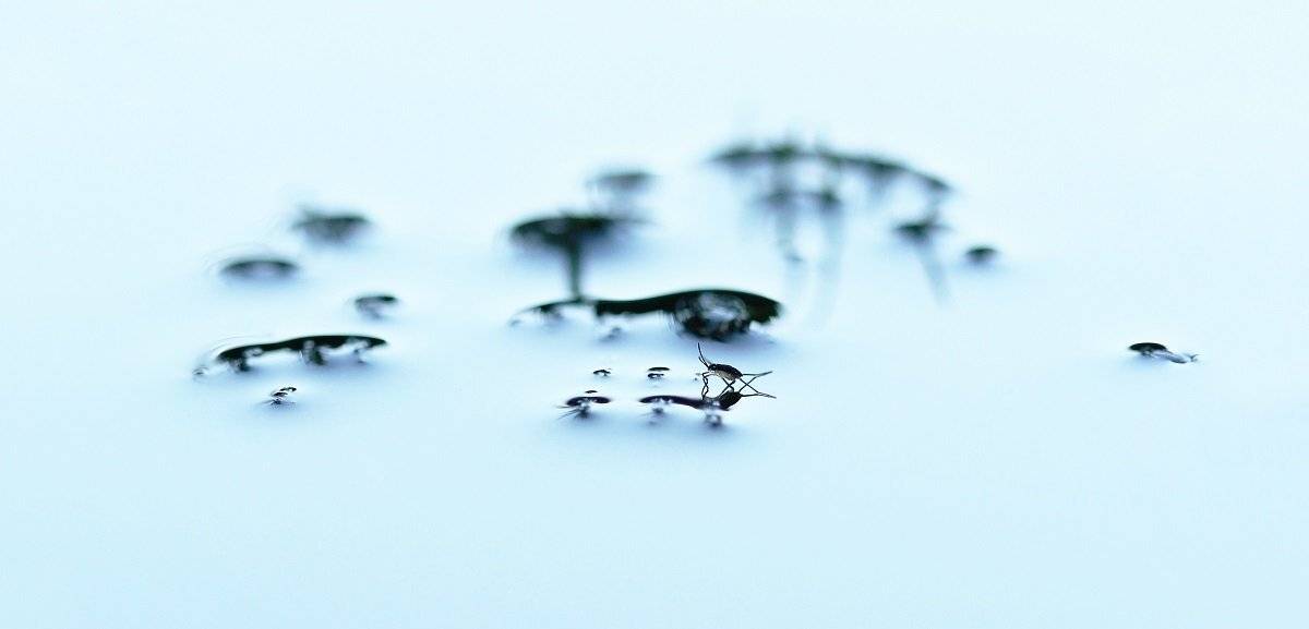 , Александр Журавлёв