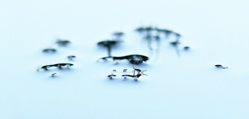 Острова фото превью