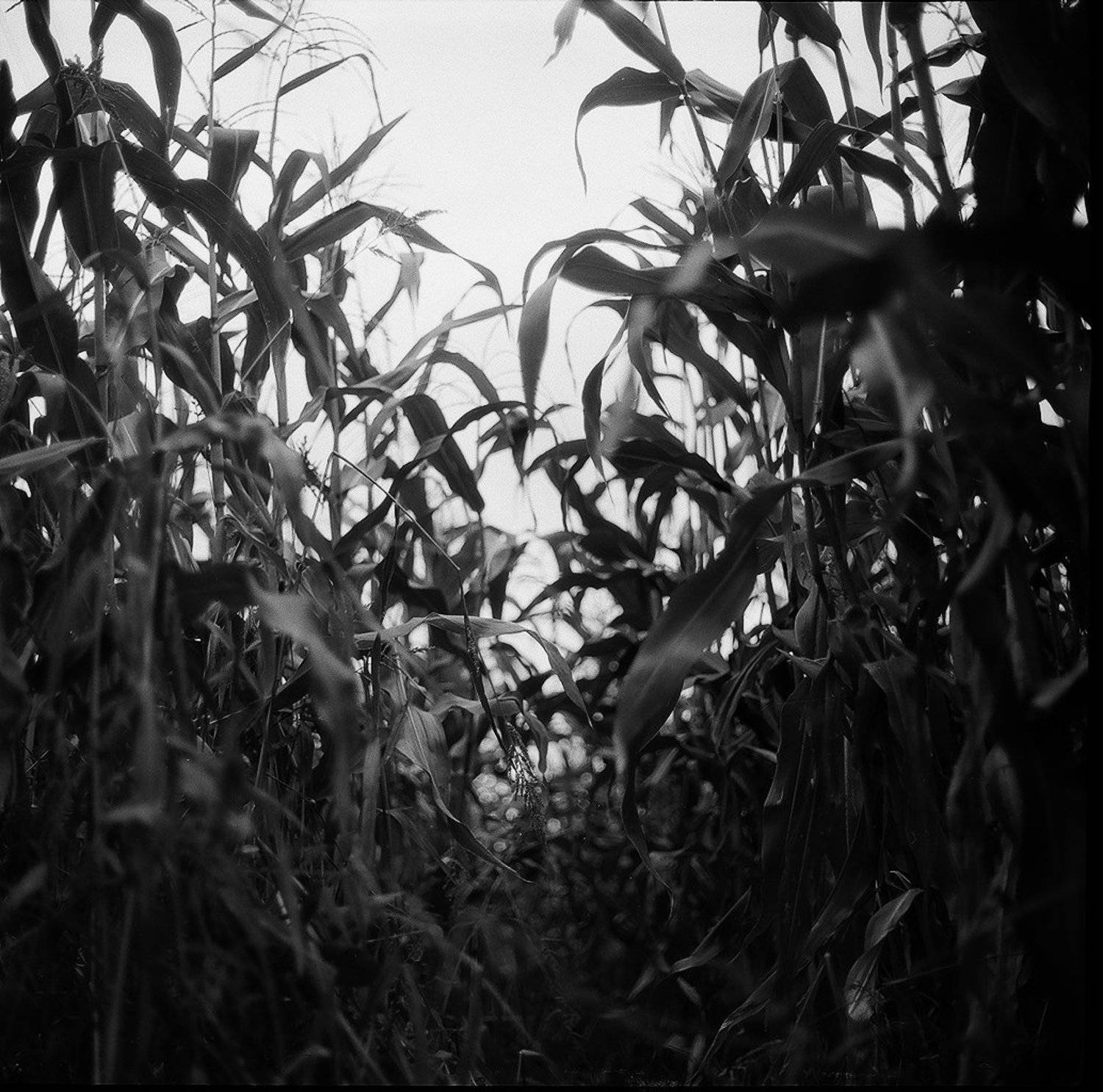 , Ефремов Андрей  МИ₽