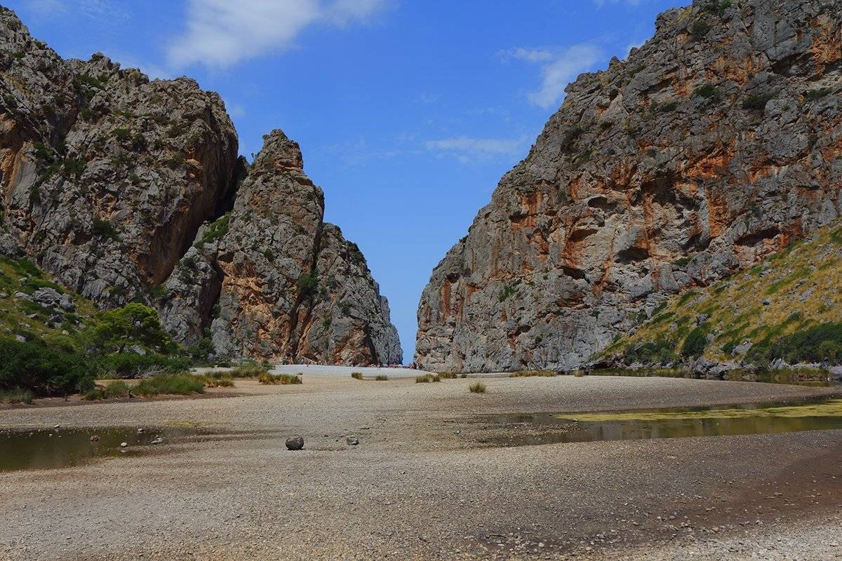 , Игорь Дубровский