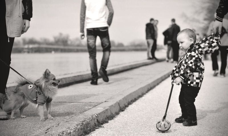 rady фото превью