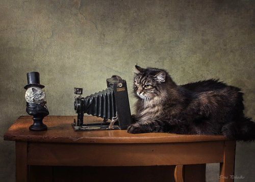 Фотограф