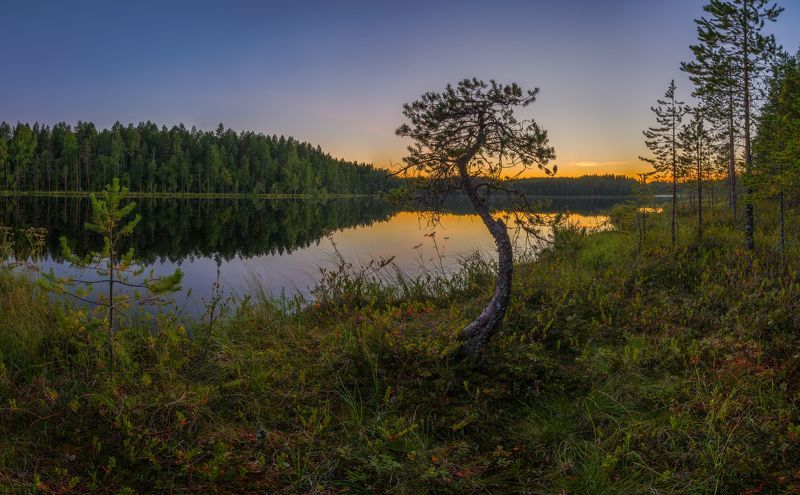 *** фото превью