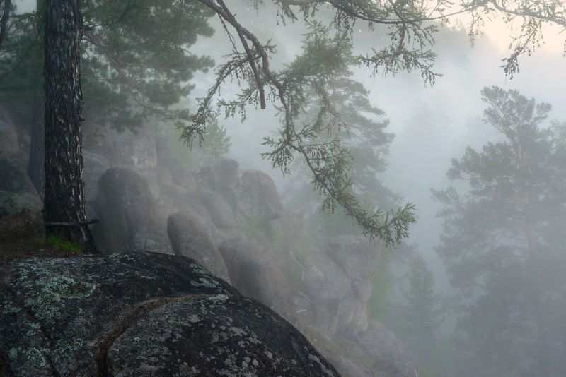 Туман фото превью