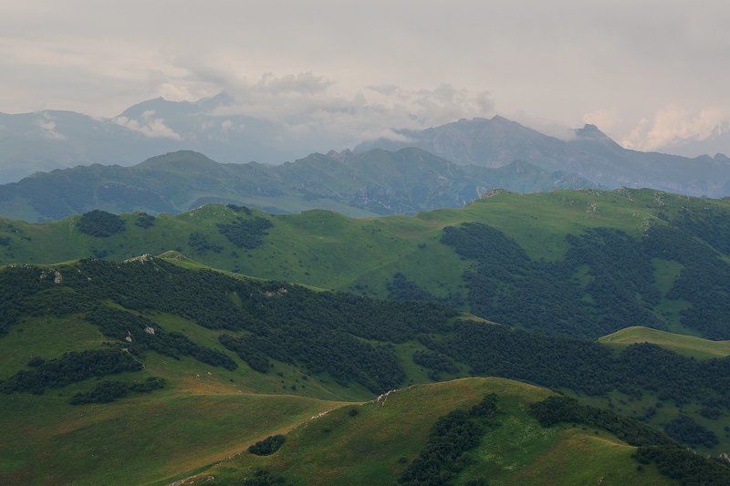 *** фото превью