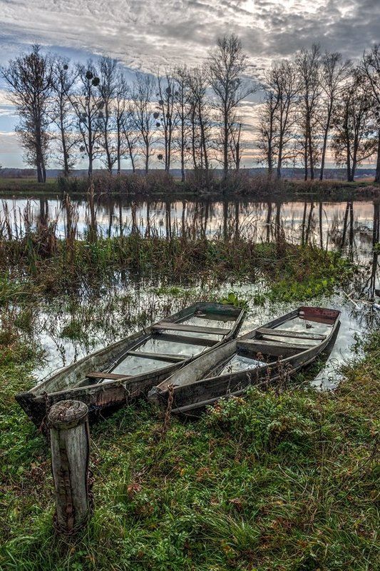 Утро у реки фото превью