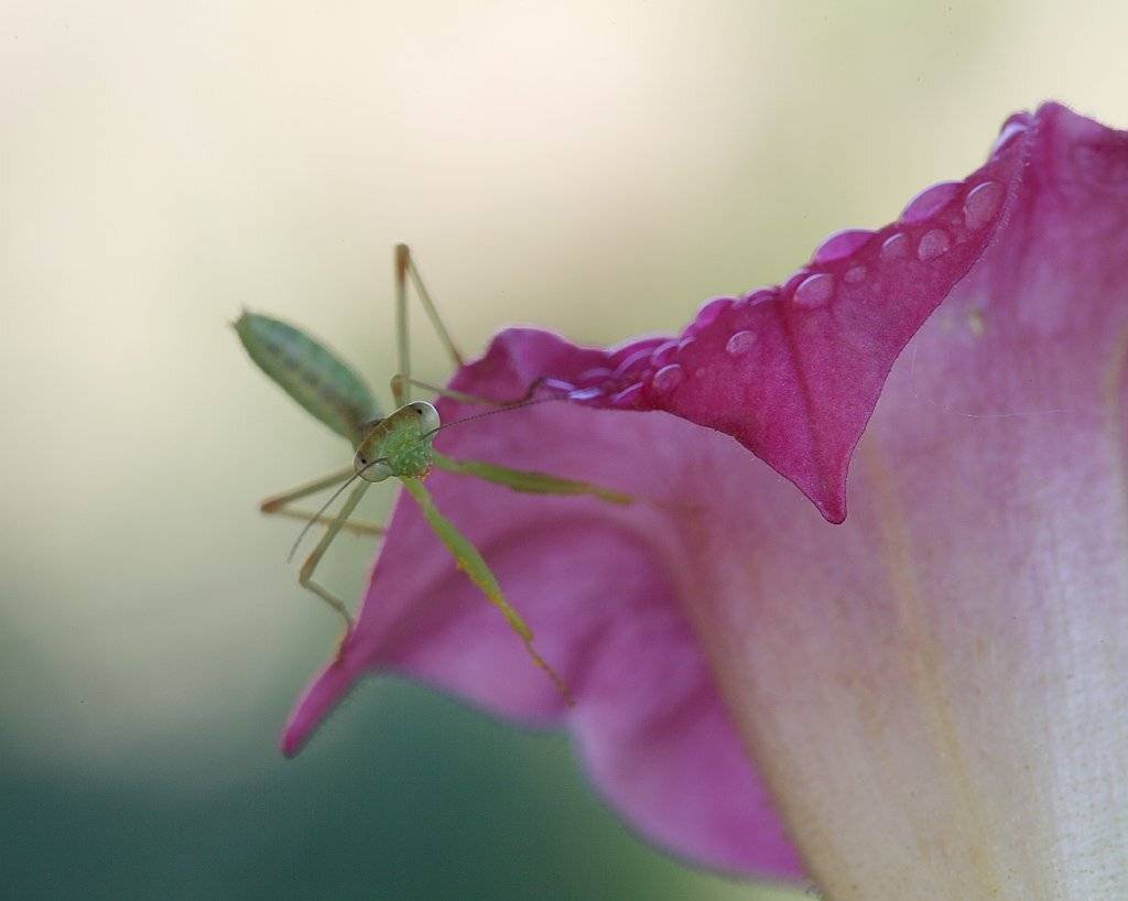 , Сергей Таланов