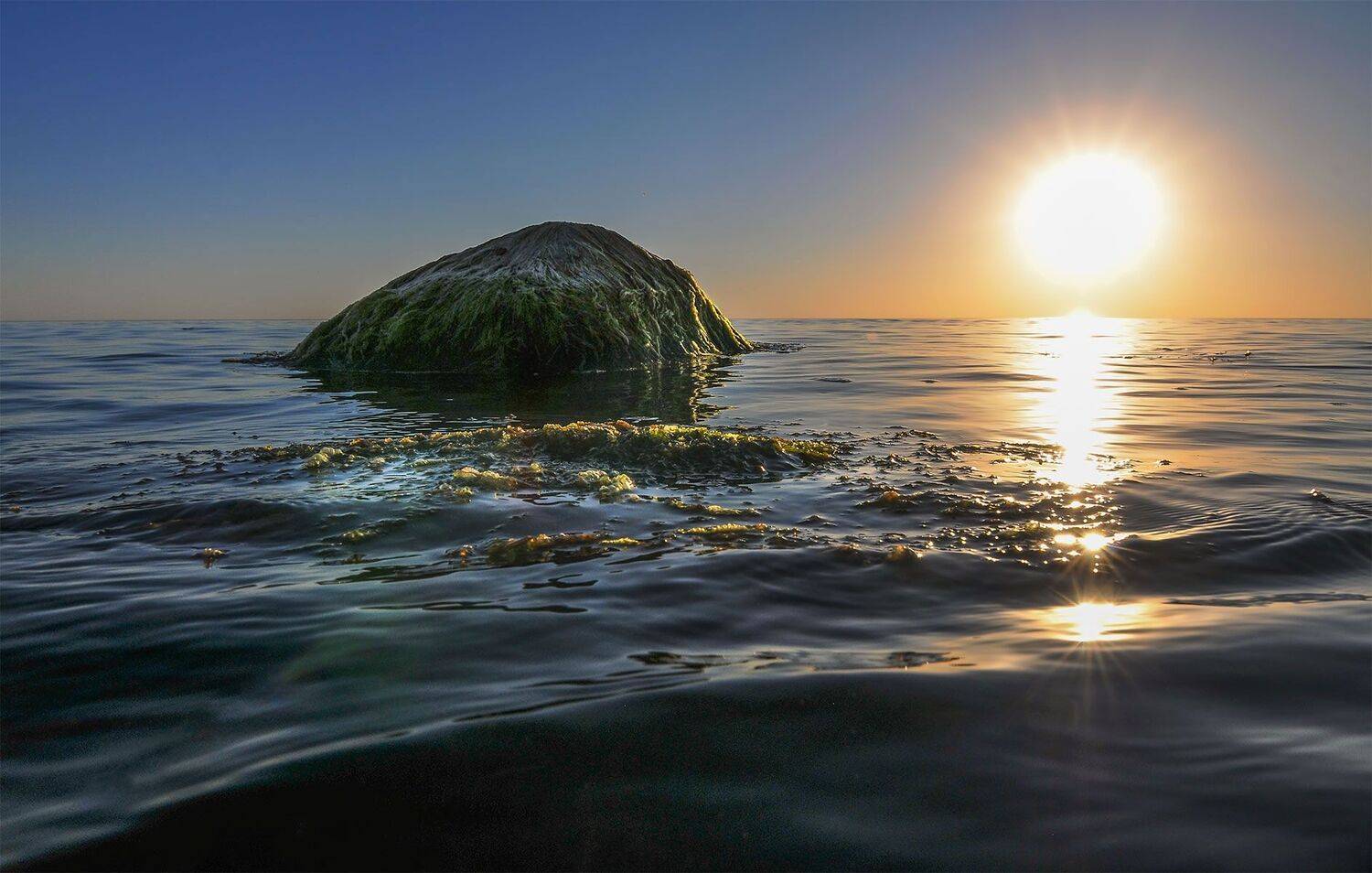 Stone, Sunset sea, Daiva Cirtautė