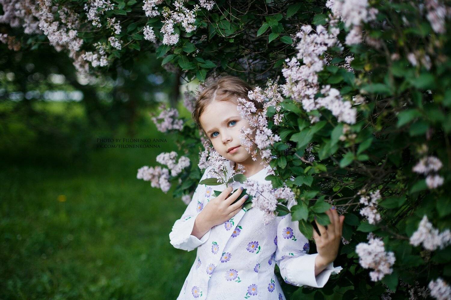 сирень, девочка, зелень, Филоненко Аня