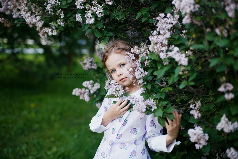 сирень, девочка, зелень Кира фото превью