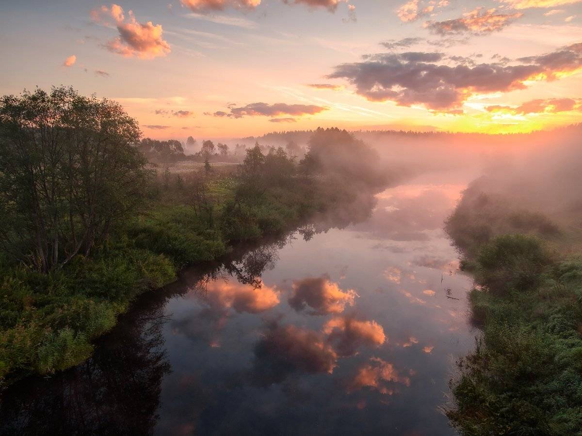 , Марина Брыдня