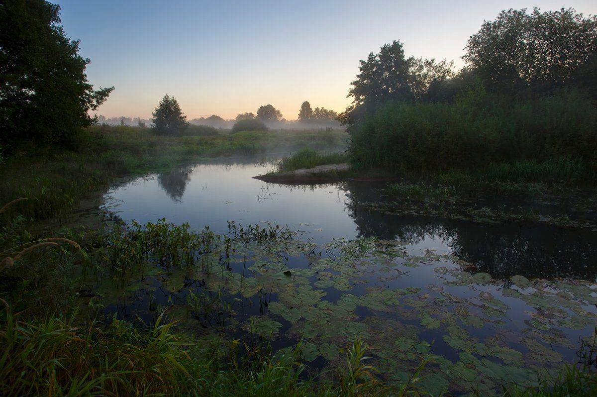 восход, заводь, заря, кувшинки, лето, река, солнце, трава, туман, утро, пейзаж, саров, Александр Чибиркин