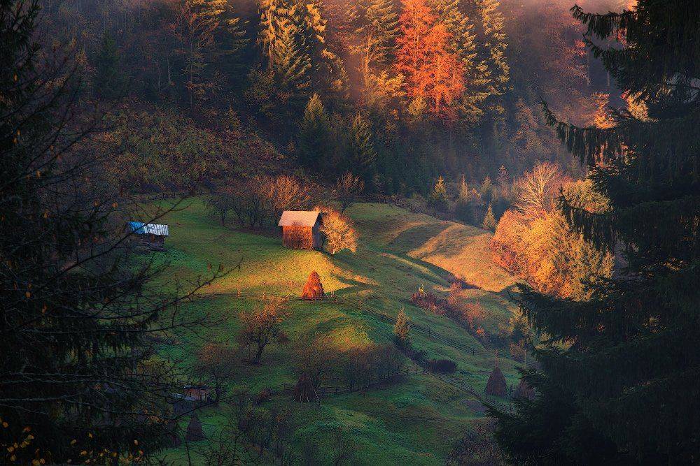 , Ярослав Тюрменко (Jaremi)