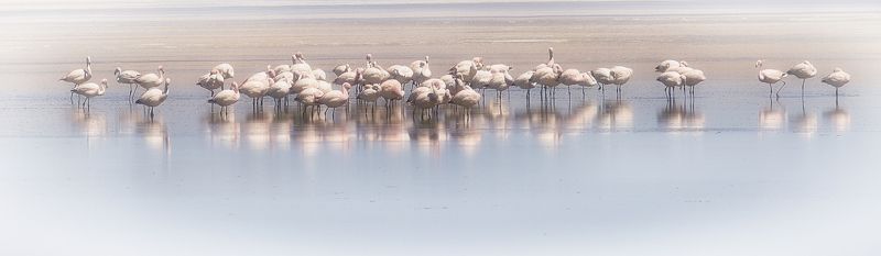 bolivia, боливия, mc * фото превью