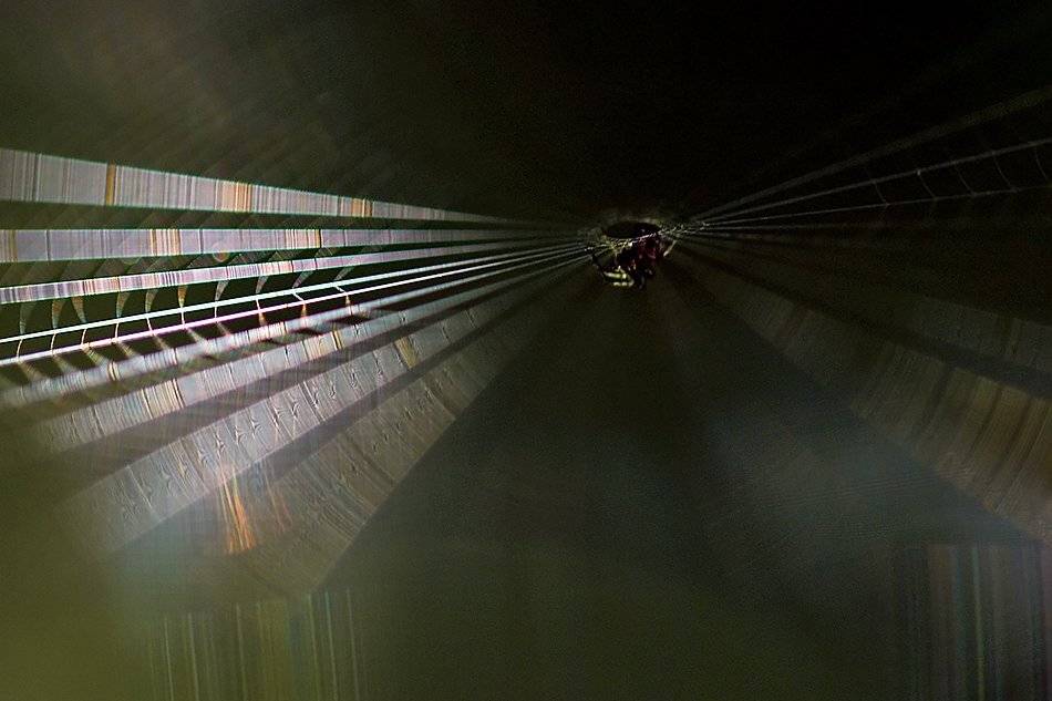 , Иваненко Светлана