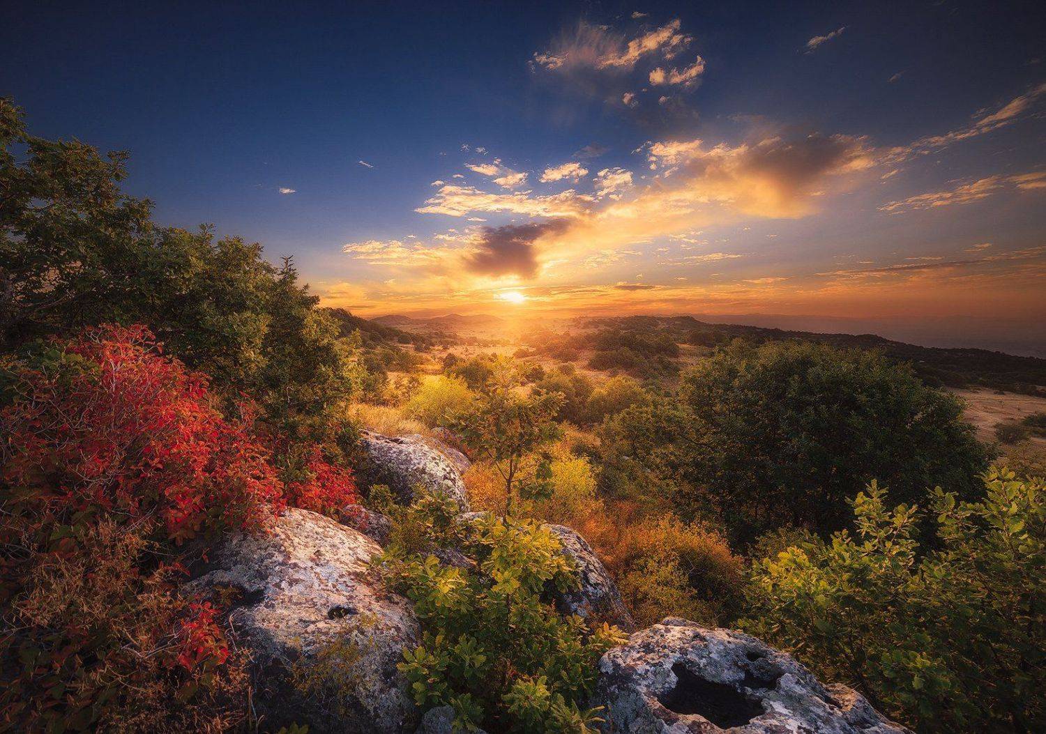 , Минаев Павел