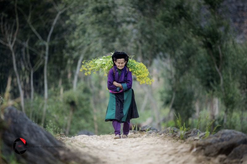 street фото превью