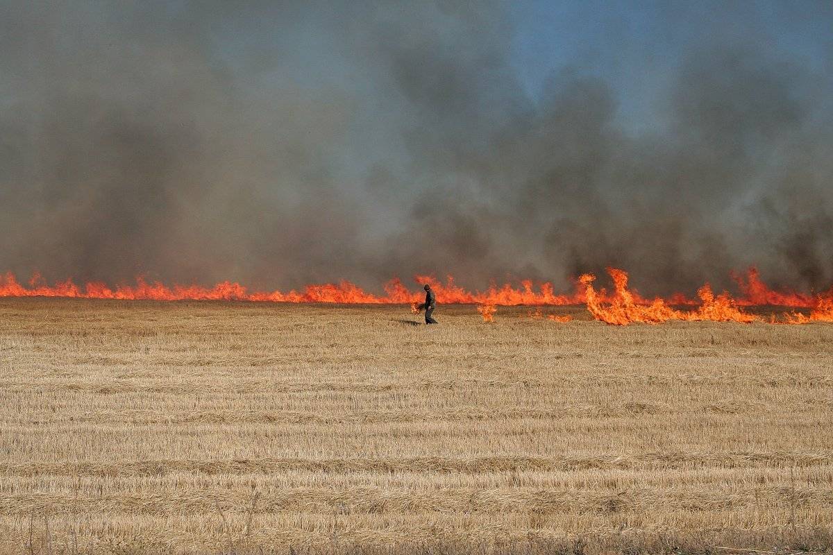 , Николай Морский