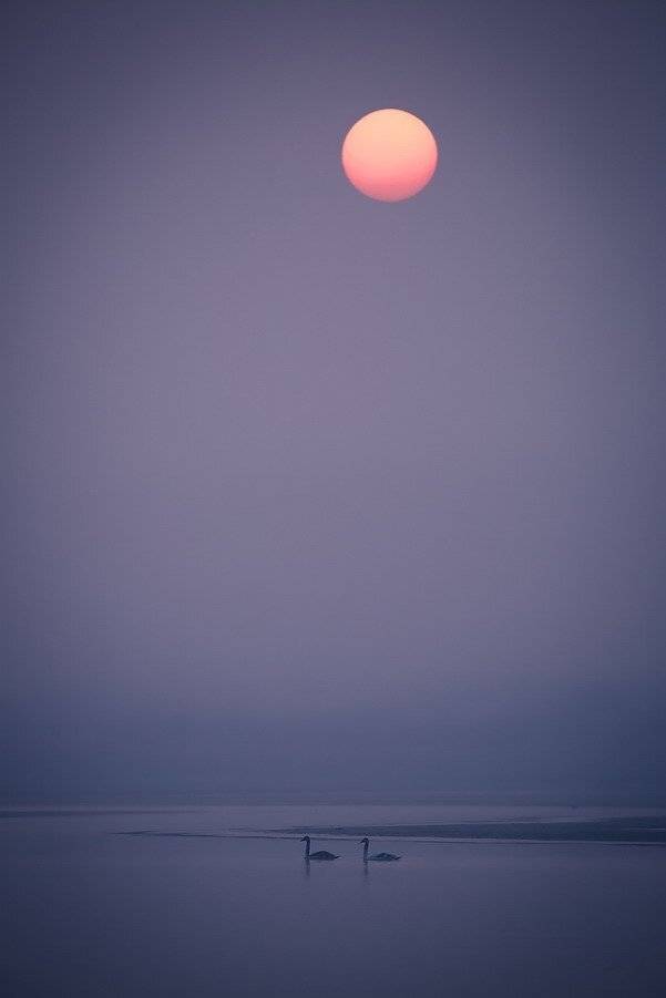 , Вячеслав Мищенко