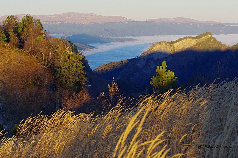 рассвет в травах 2 фото превью