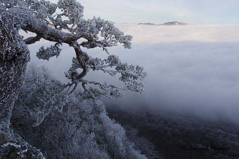 зимняя красавица фото превью