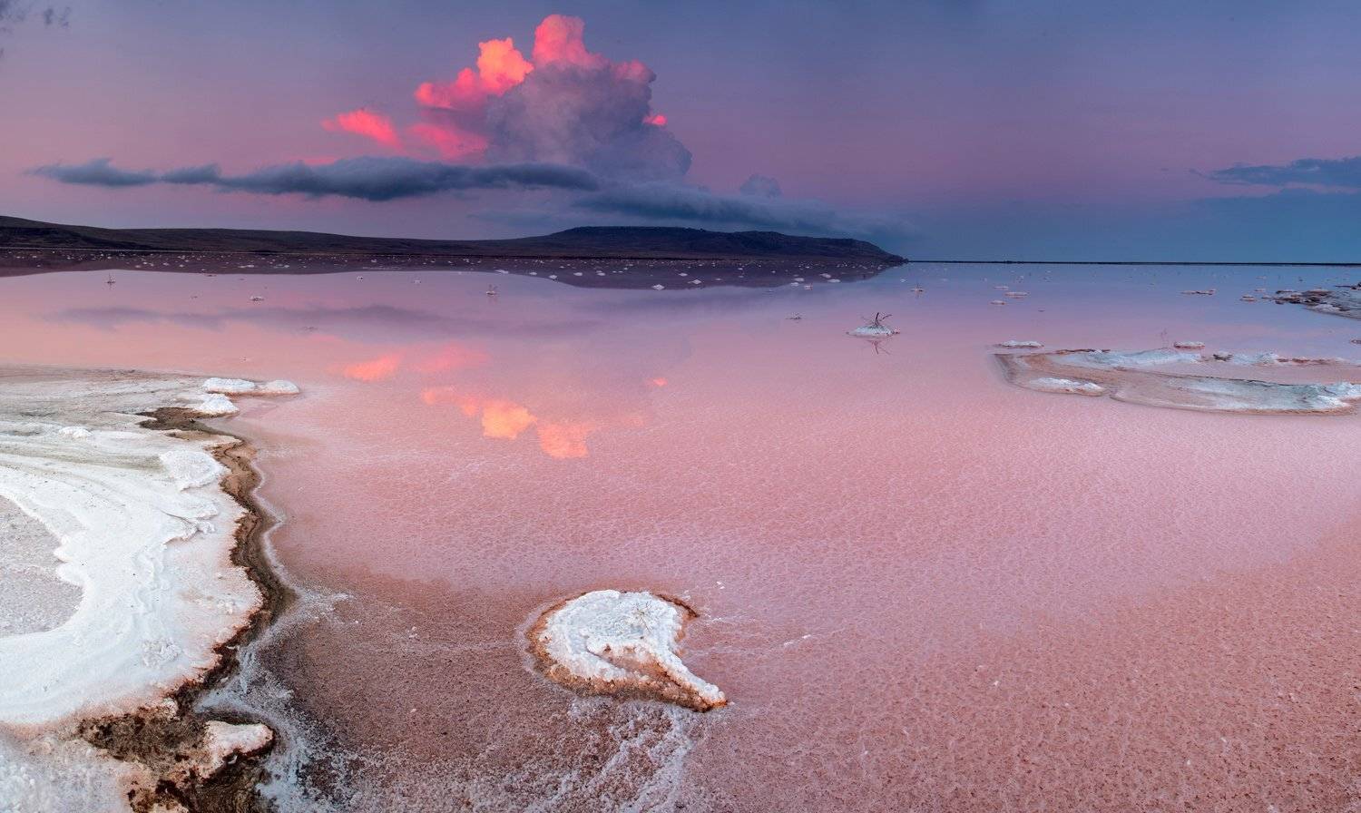 , Станислав Савицкий