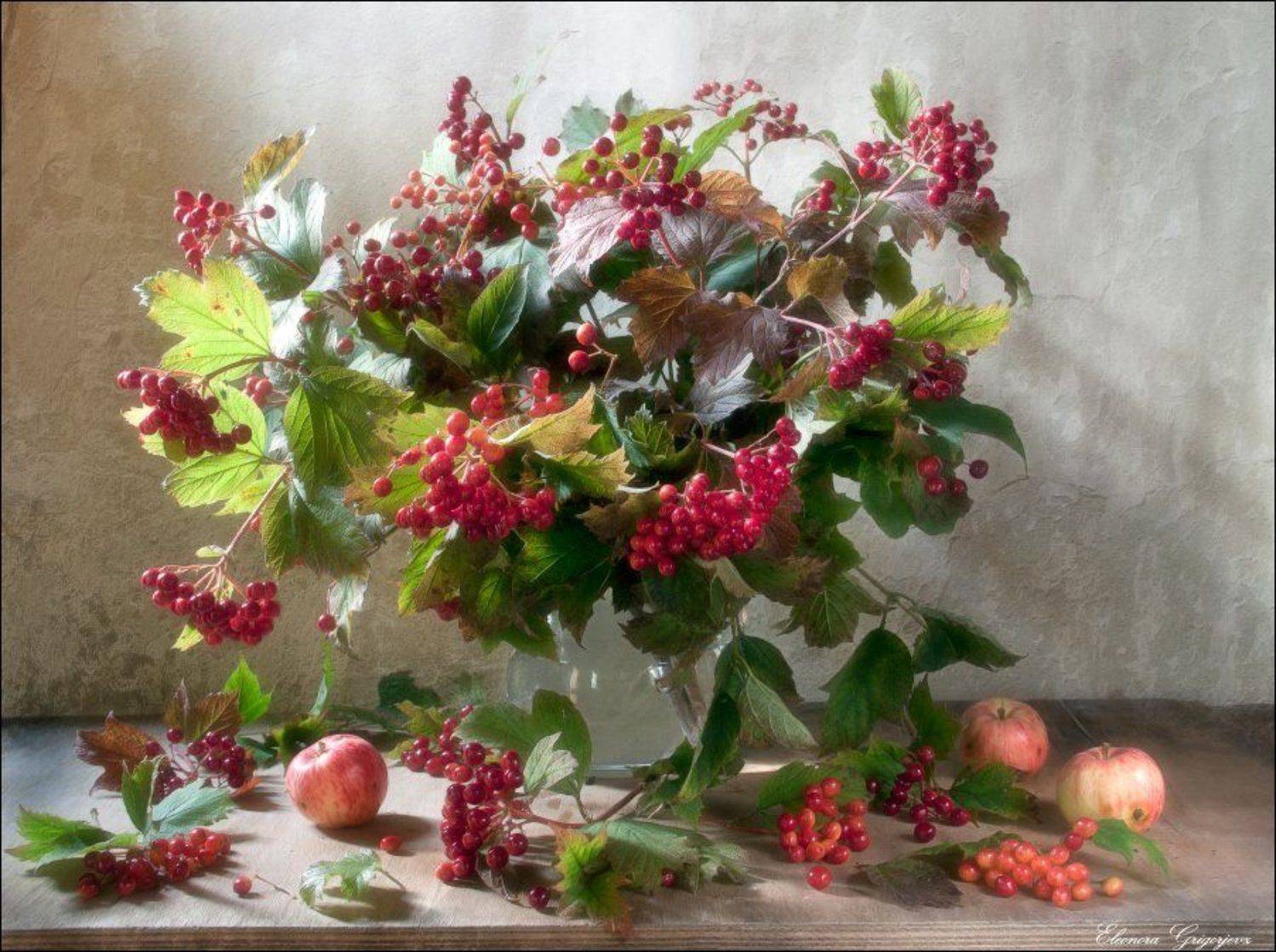 калина, натюрморт, яблоки, Eleonora Grigorjeva