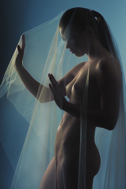 bride, nude, veil, nude, naked Bride фото превью