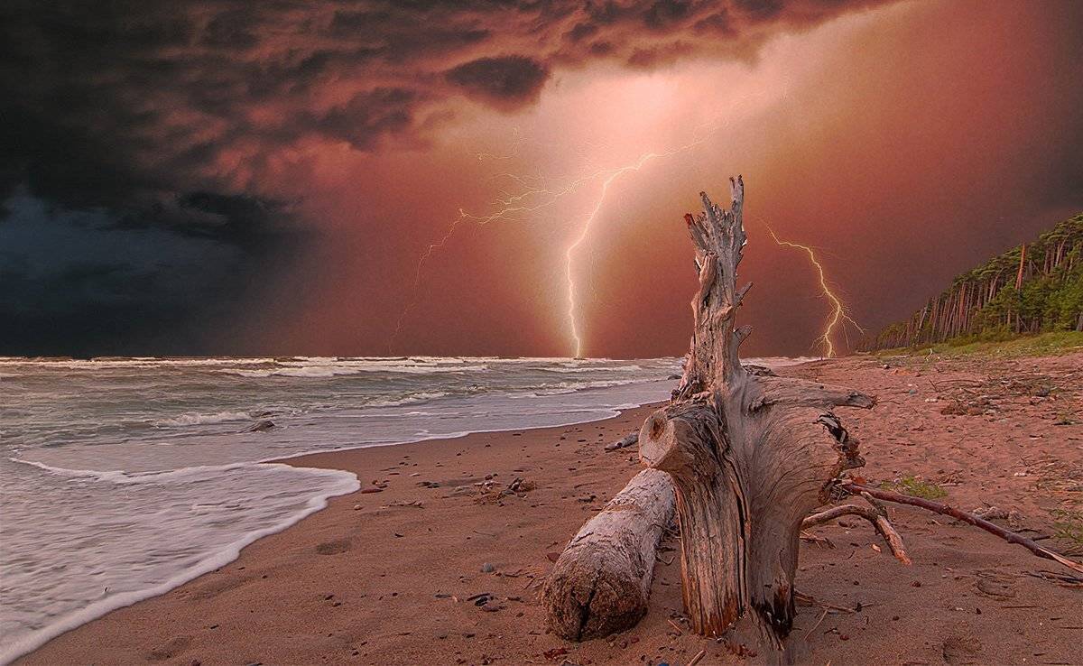 Bolt, Sea, Daiva Cirtautė