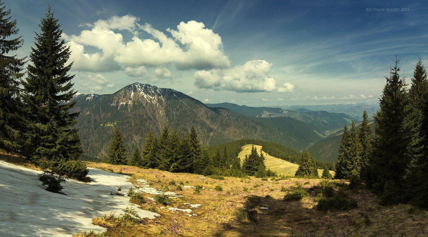 Вершина, Весна, Горы, Карпаты, Лес, Мармаросы, Небо, Облака, Петрос, Снег, Украина, Рычков Алексей