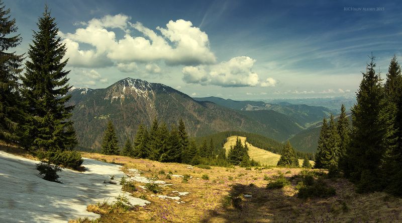 Вершина, Весна, Горы, Карпаты, Лес, Мармаросы, Небо, Облака, Петрос, Снег, Украина Весна в Мармаросах фото превью