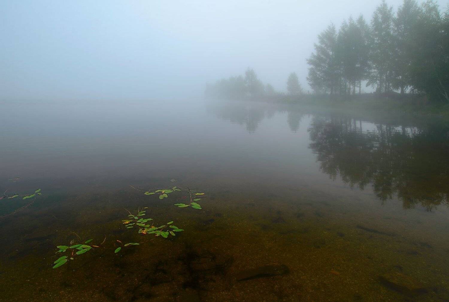 , Сергей Брагин