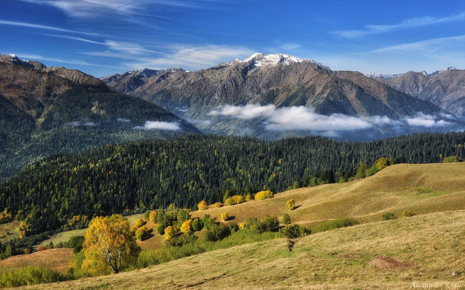 Кавказ, Кчр, Александр Круль