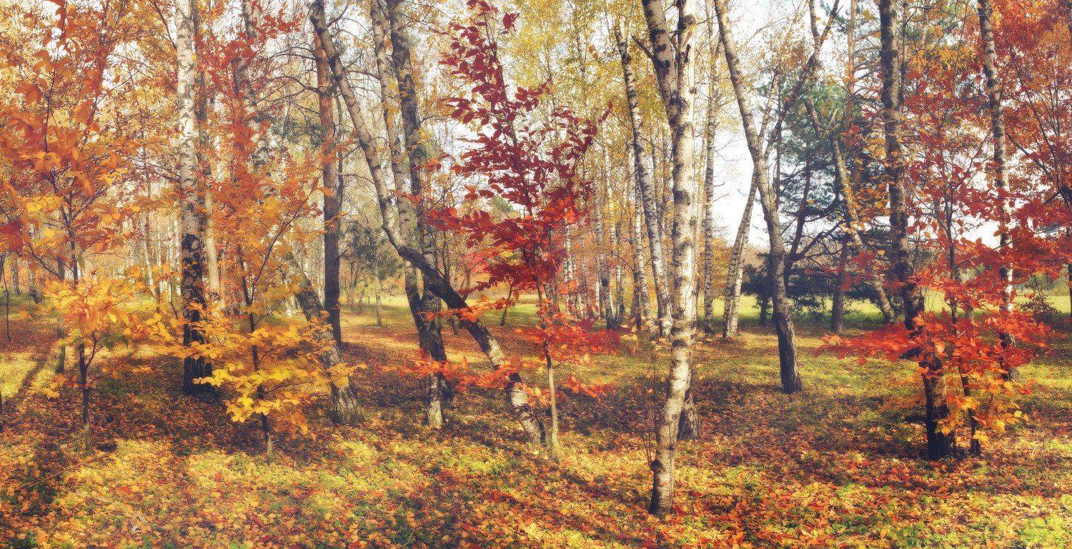 , Михаил  Пилипенко