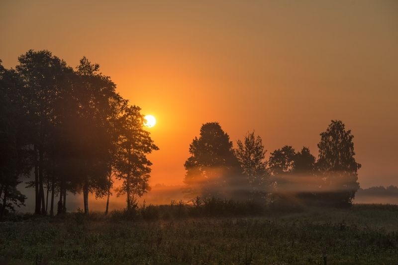Грибной сезон фото превью