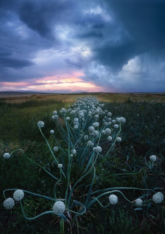 Stormy evening фото превью