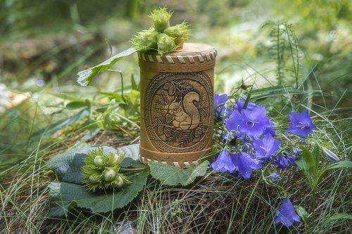 Летние лесные истории