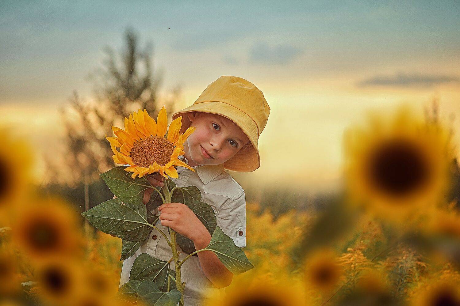 , Лысенкова Аксинья