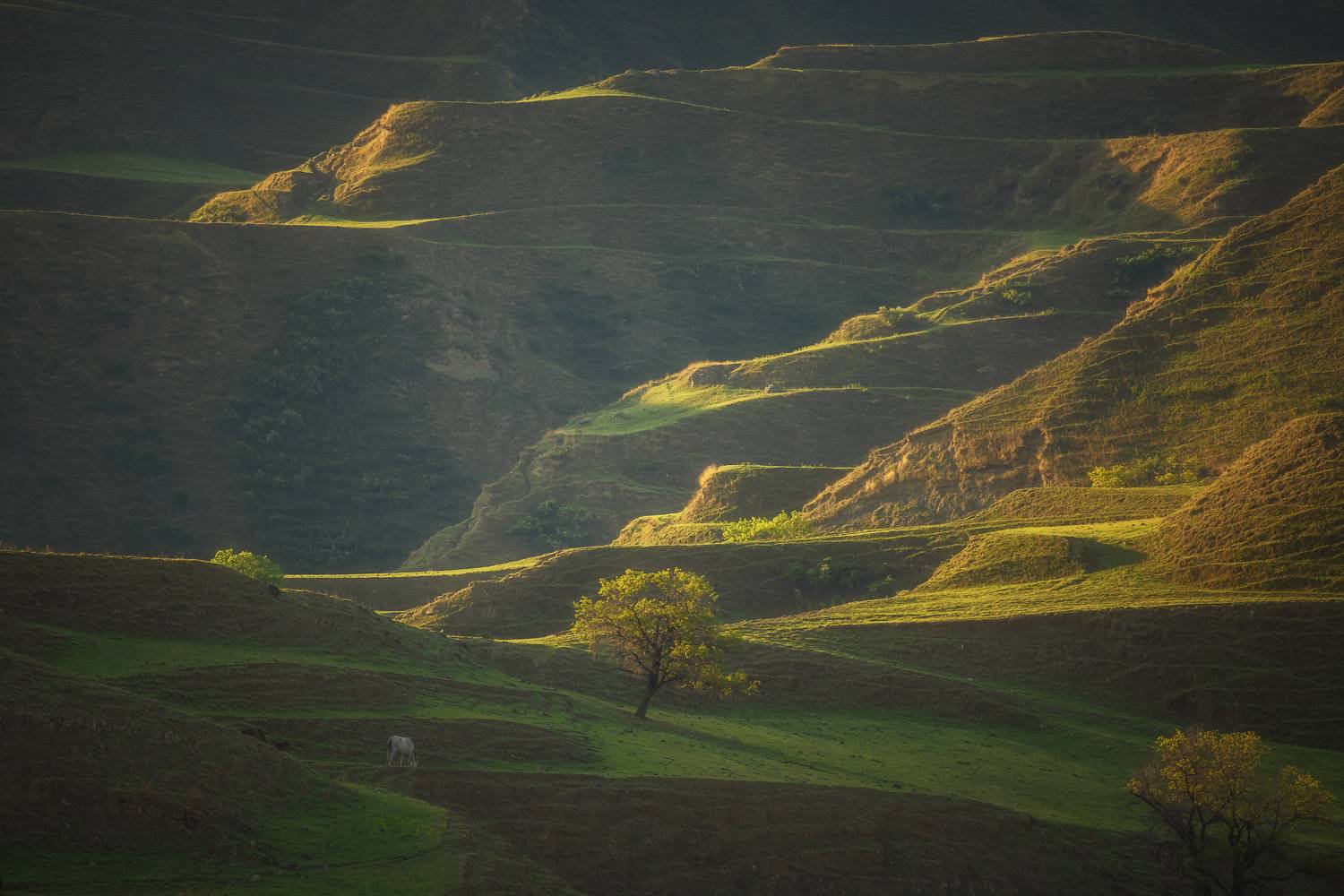 дагестан природа пейзаж утро свет россия landscape nature, Anya Yukhova