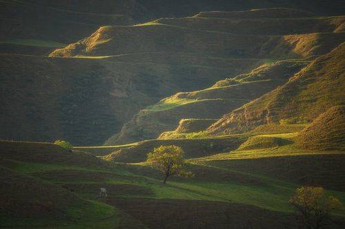 Террасы Дагестана.