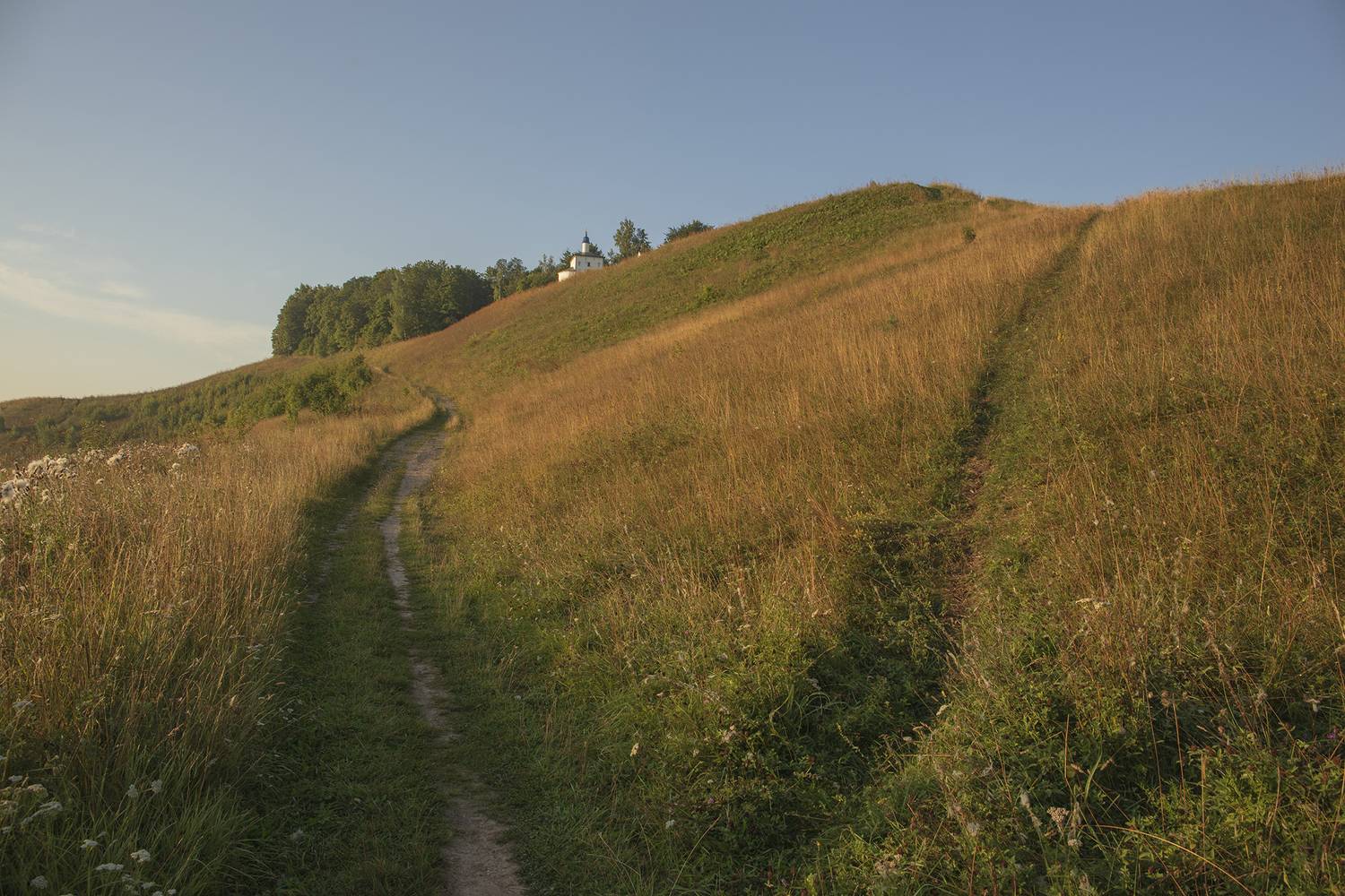 псковская обл,мальско-изборская долина,никольская церковь, Александр Смыков