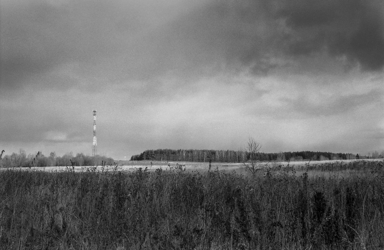 , Сизов Кирилл