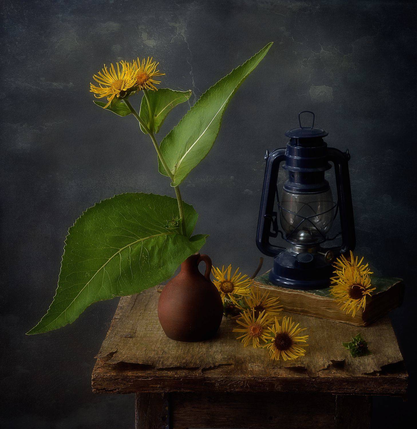 натюрморт,девясил,цветы,лето, Наталия К