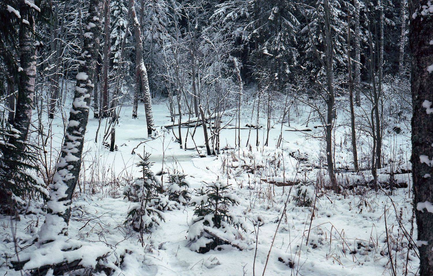 , Сизов Кирилл