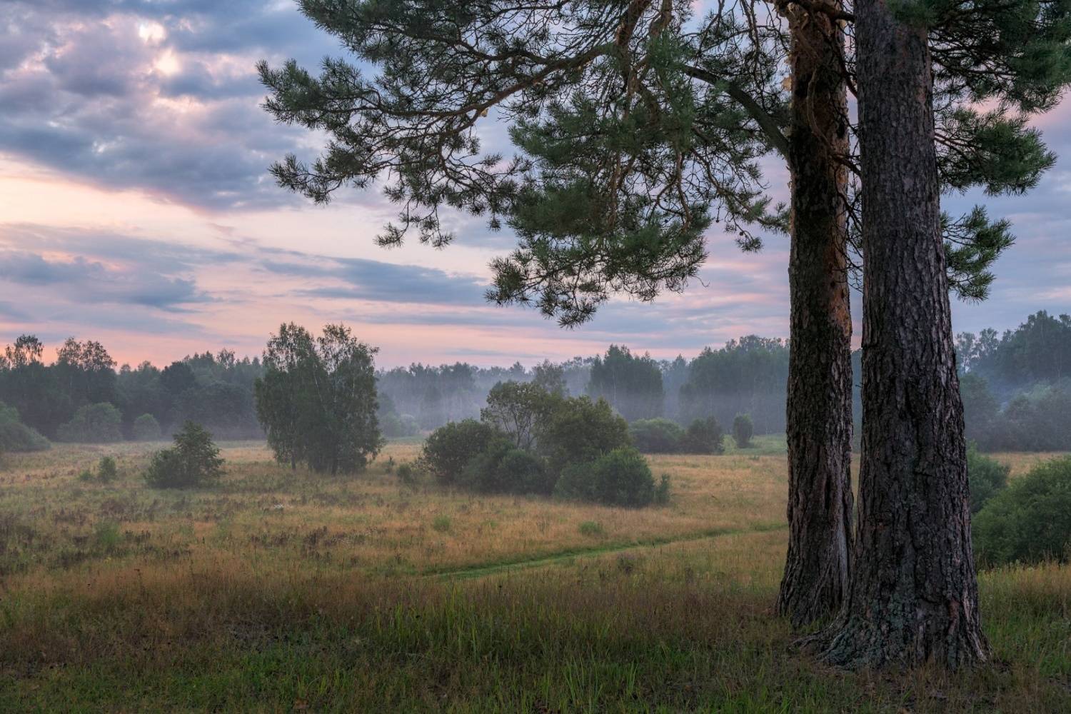 , Евгений Ерохин