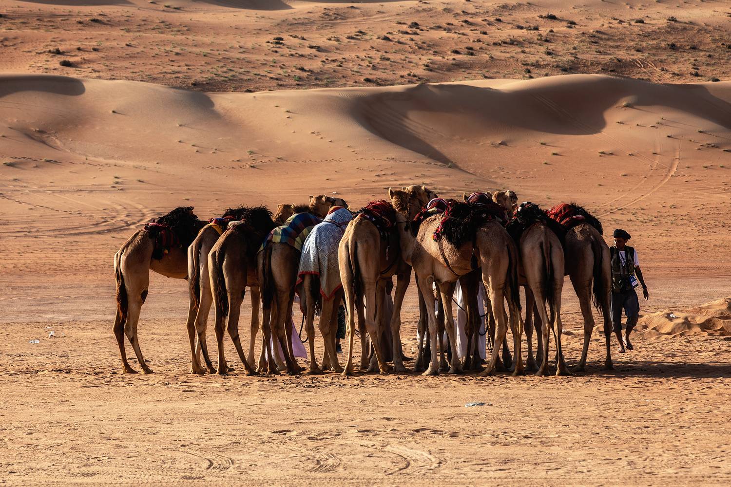 , Усманов Рашид