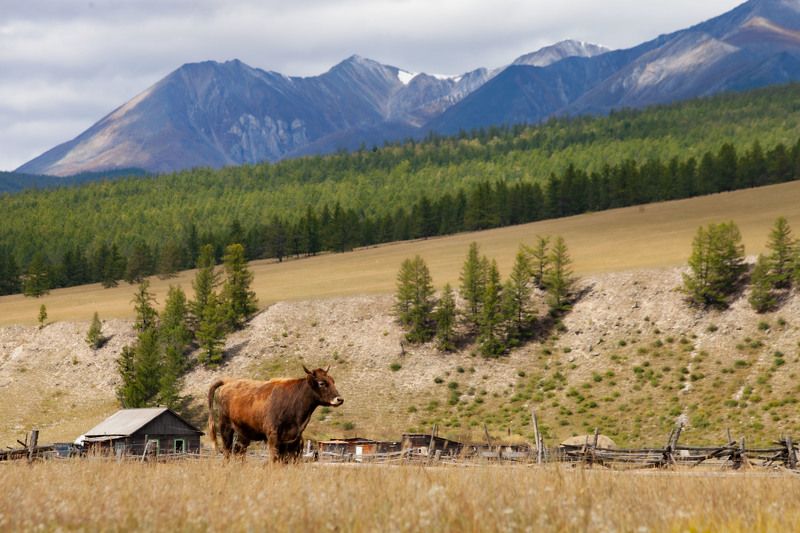 Окинские просторы фото превью