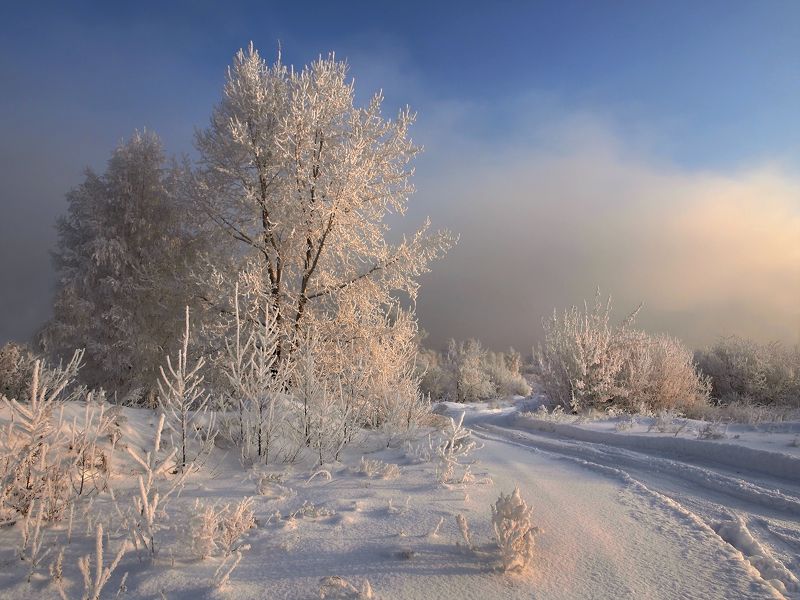 После ночного снегопада фото превью