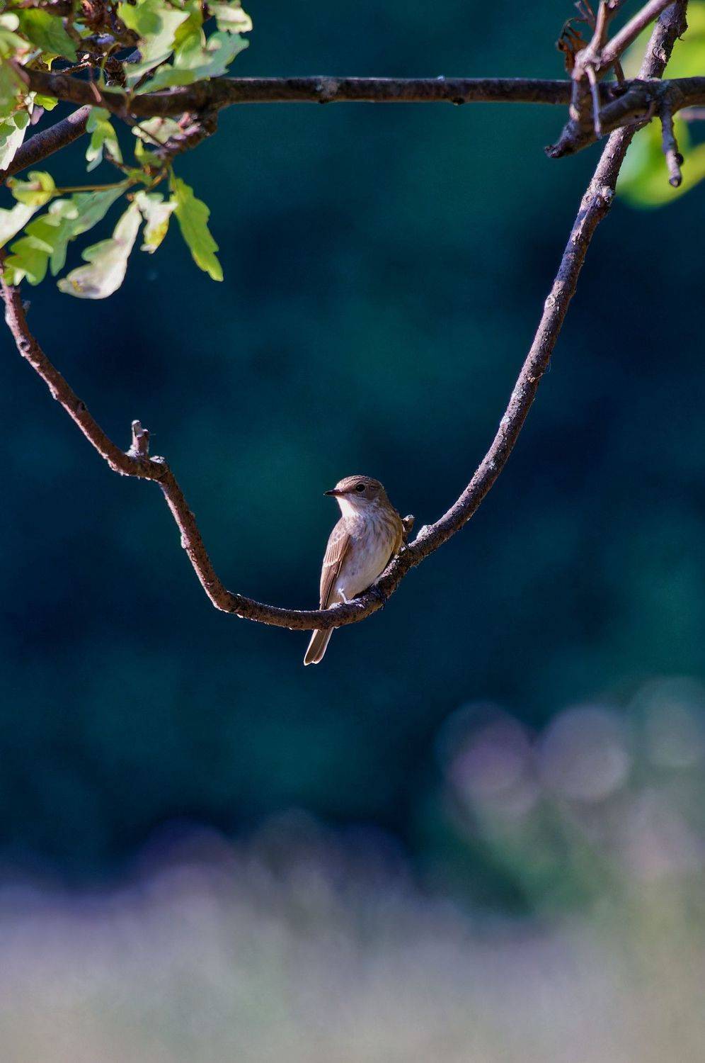 , Гильманов Артур